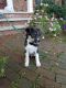 . Matius .