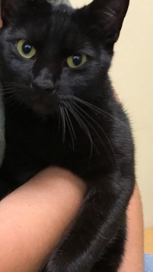 . Eliza .