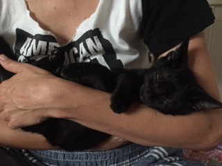 . Bagheera .
