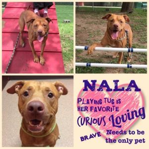 . Nala .