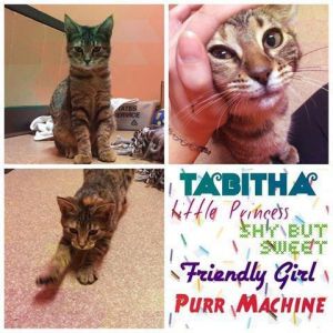 . Tabitha .