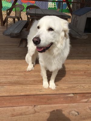 . Luna .