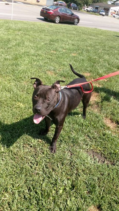 Photo of Maverick