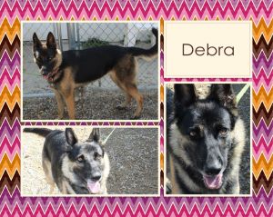. Debra .