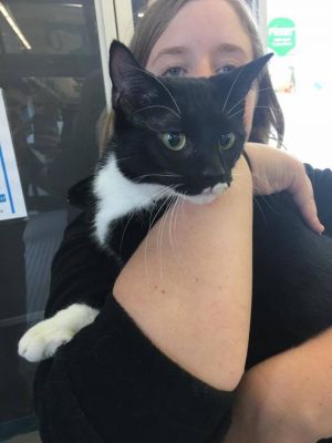 . Pennywise - I'm at Pet Supplies Plus in Bedford NH .