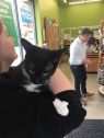 . Pennywise - I'm at Pet Supplies Plus in Bedford NH .