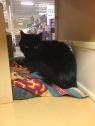 . Margarita - Meet me at Petsmart Manchester .