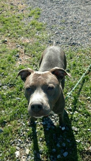 Photo of Maizey