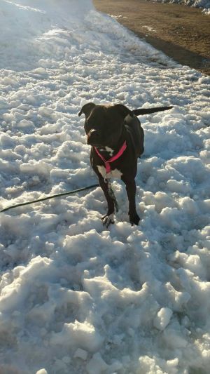 Photo of Sweetie