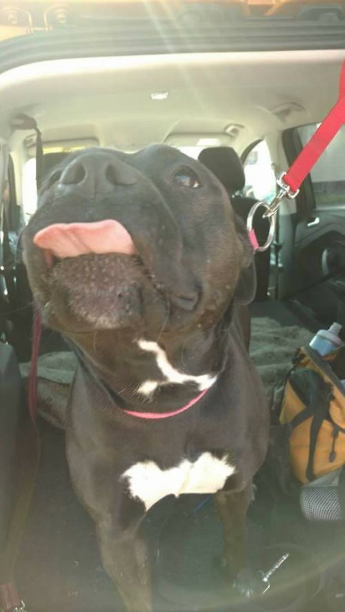 Photo of Sweetie