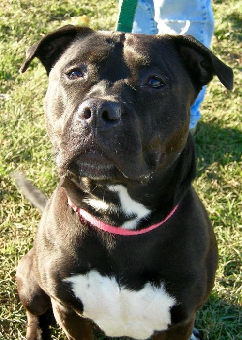 Photo of Sweetie