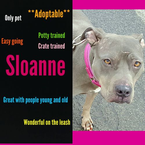 Photo of Sloane