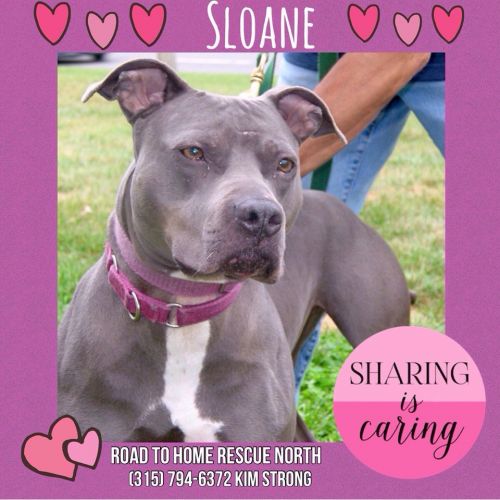 Photo of Sloane
