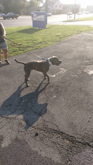 Photo of Sawyer