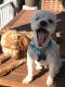 . Rockie and Tobie .