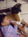 . Brutus & Bella - Foster Needed .