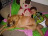 . Brutus & Bella - Foster Needed .