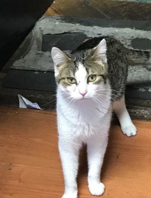 Photo of Quinn