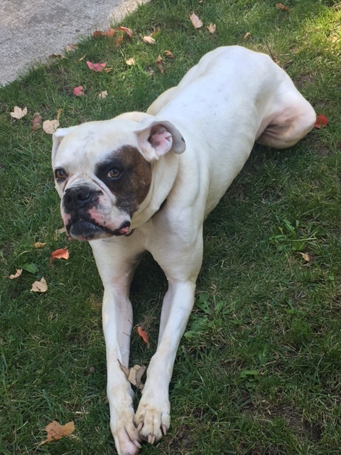. Capone .