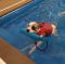 . Shadowcat -- My Adoption Fee is Sponsored! .