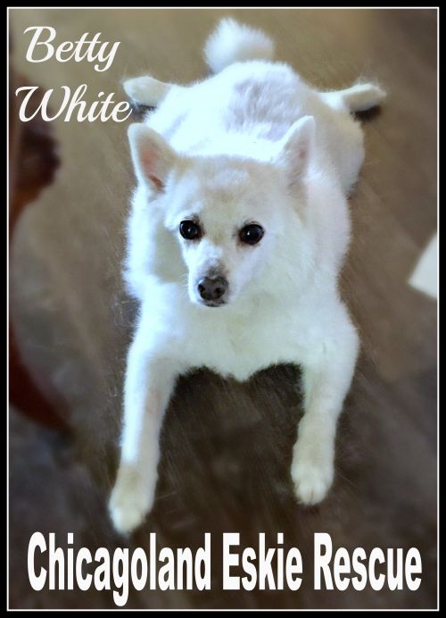 Betty White