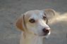 . Athena and Apollo - Name Your Price! .