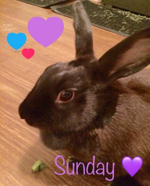 . Sunday .