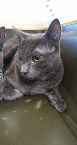 . Bo .