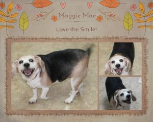 . Maggie Mae .