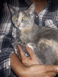 . Luna .