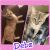 . Debz .