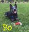 . Boyo .