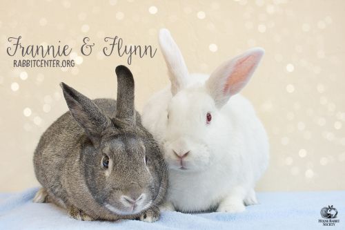 . Flynn & Frannie .