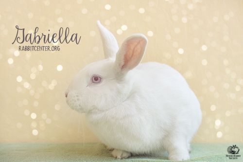 . Gabriella .