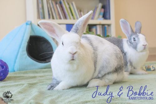 . Judy & Bobbie .
