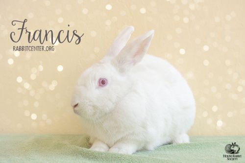 . Francis .