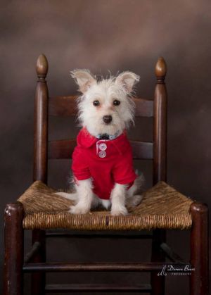 . Baxter .