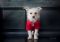 . Baxter .
