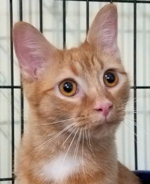 . Frankie .