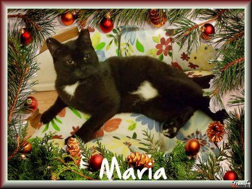 Photo of Maria