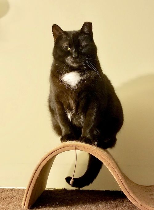 Photo of Maria