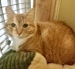 Photo of Sandy