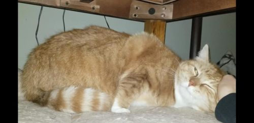 Photo of Sandy