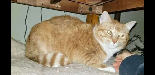 Photo of Sandy