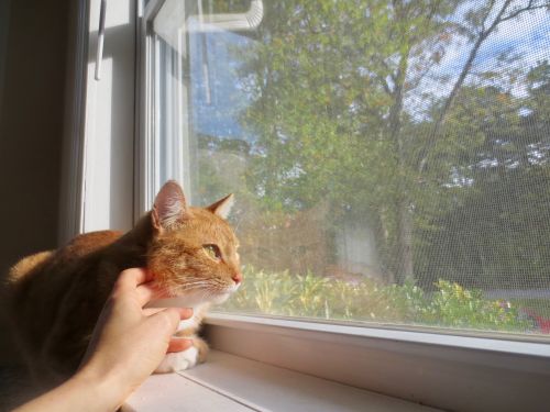 Photo of Sandy
