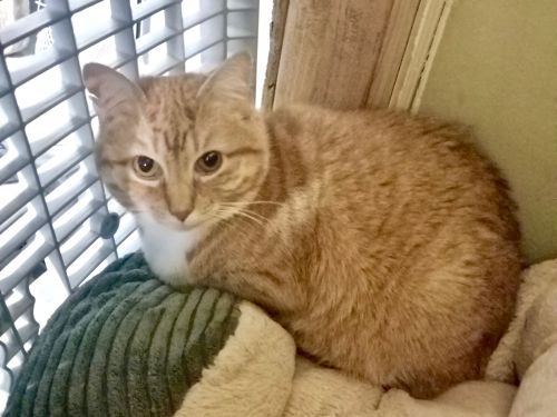 Photo of Sandy