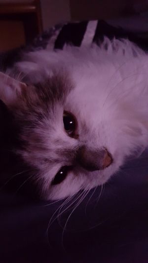 MARILYN