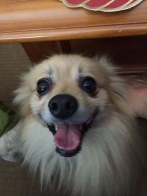 HAPPY