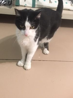 . Max .