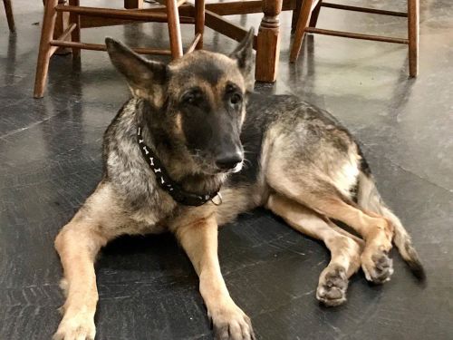 Photo of Faith